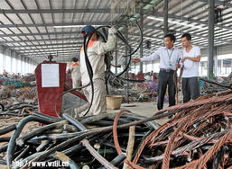 腾飞中的梧州进口再生资源加工园 绿色循环与数字赋能的双重奏